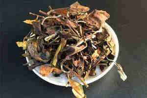 安吉白茶的品质特征有哪些