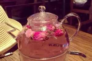 春天喝什么茶最好养生_这个季节喝什么茶对身体好？