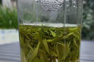 紫笋茶的功效与副作用_紫笋茶适合什么人喝？