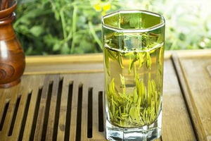 湄潭翠芽属于什么茶