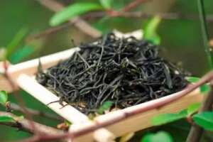 青钱柳茶属于什么茶类