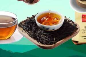 金骏眉正山小种属于什么茶