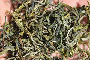 甘肃春尖茶产自哪里_兰州春尖茶是哪产的？