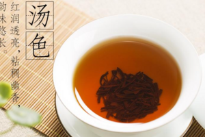 红茶有哪些品种前十名(中国十大红茶排行榜)
