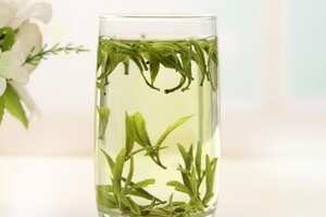 霍山黄芽属于绿茶吗
