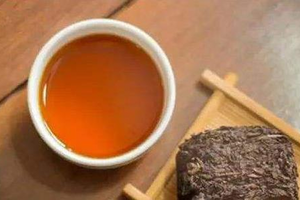 常喝泾阳茯茶有什么好处？