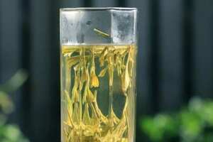 龙井茶属于什么茶种