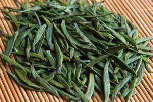 雀舌茶叶属于什么茶叶