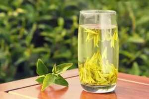 龙井茶最高价格多少钱一斤