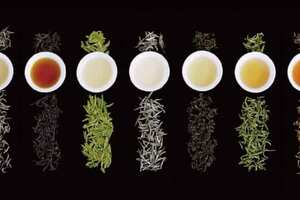 茶叶分为几大种_红茶/绿茶/青茶/黑茶/白茶/黄茶