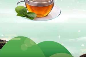 正山小种是绿茶吗