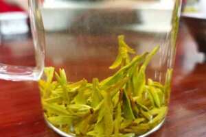 荷叶山楂减肥茶配方