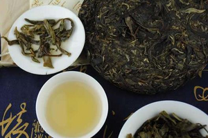 勐海普洱茶有哪些品种