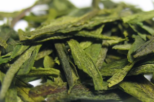 柿大茶的功效与作用_柿大茶的品种特点