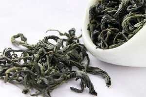 屯溪绿茶属于什么茶