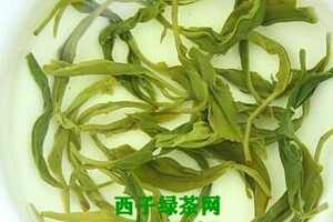 高山绿茶的生产