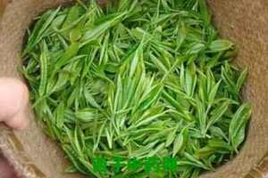 【茶功效】毛尖绿茶的功效与作用毛尖绿茶多少钱一斤