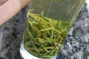 长期每天喝绿茶代替水的坏处