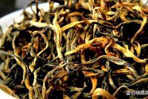 红茶中的精品，滇红茶有什么特点？怎么挑选好的滇红茶？