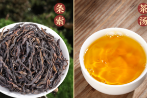 最新中国十大名茶
