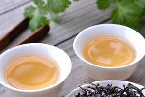 潮州凤凰单枞茶复杂加工工艺