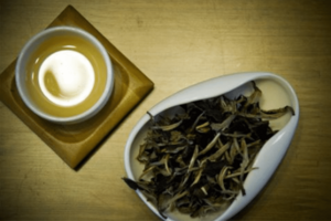 生普洱茶一斤多少钱一斤