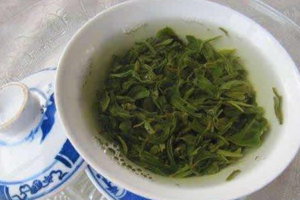 浮来青茶属于什么茶特点产地和泡法