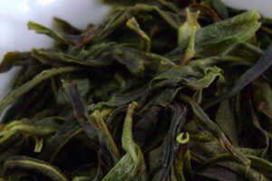 凤凰山茶叶属于什么茶