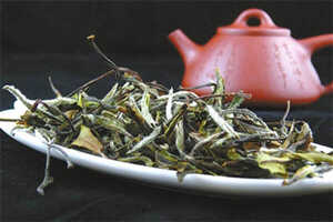白茶能够存多长时间白茶要储存多长时间才可以喝