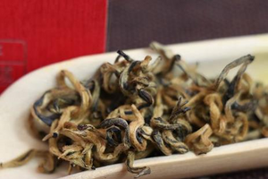 为何喝滇红茶要选择凤庆的？