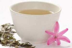 白芽奇兰茶叶怎么样？白芽奇兰茶是什么茶？