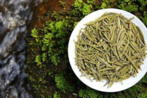 黄茶元什么好处,黄茶可以消炎杀菌和减肥吗？