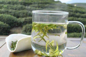 安吉白茶的泡法_安吉白茶的冲泡方法和水温