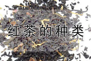 红茶的种类（红茶的种类和名称）