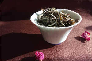 白茶中有位“花仙”名为白牡丹（一款如花般的白茶）