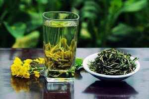早上喝绿茶对身体好吗？早上喝什么茶好？
