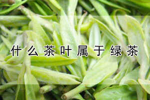 松溪绿茶茶叶