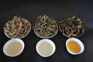 白茶品种你了解吗?