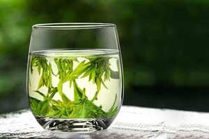 绿茶作用哪些方面