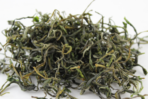 黄山的绿茶