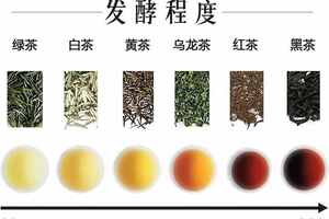 根据发酵程度，六大茶类是怎么划分的？