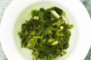 【茶功效】绿宝石绿茶的功效与作用及禁忌