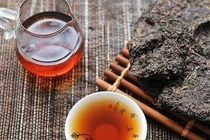 牛蒡茶的功效与禁忌月经期间可以喝