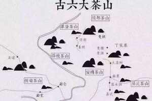 普洱六大茶山是哪六个普洱茶六大产区和六大茶山