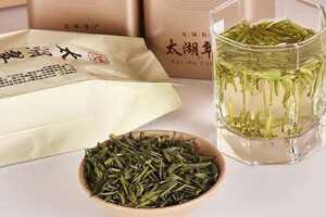 太湖翠竹是绿茶还是白茶