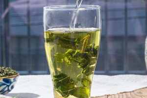 喝蒲公英茶有什么好处_绿茶和蒲公英可以一起泡茶喝吗？