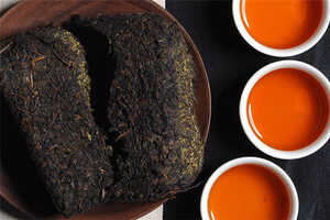 黑茶收藏再度升温