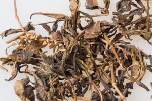 霍山黄大茶的功效与作用_霍山黄大茶怎么保存