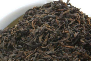 茶树品种适制性的理解