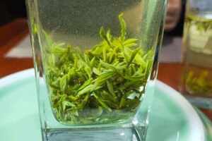 湿气重喝红茶还是绿红茶祛湿还是绿茶祛湿？